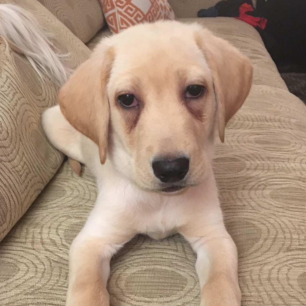 Hello from sunny LA! I’m Liora. - Picture 5 of 11